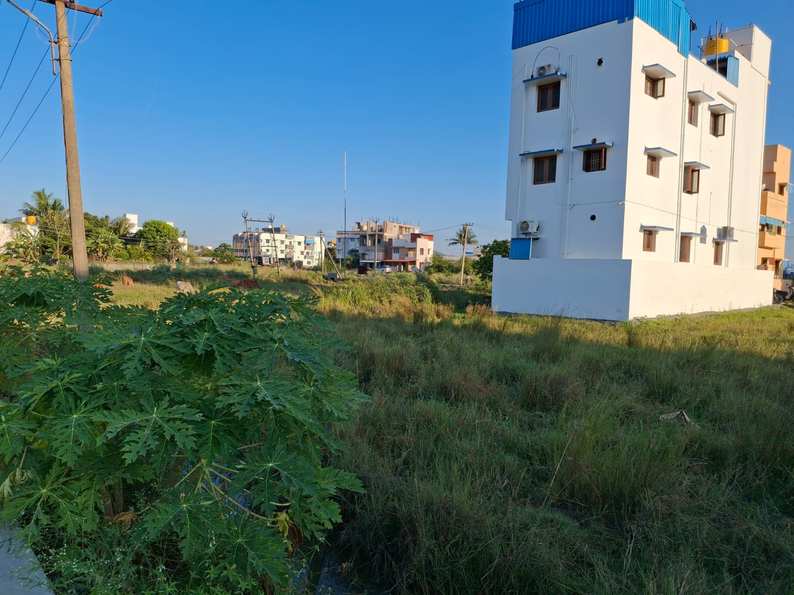 Residential plots in Chennai Tambaram Royappa nagar - Image 3