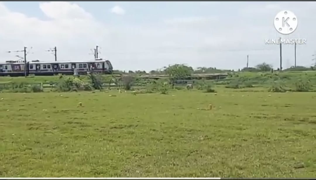 Residential plots at Thiruvallur Senjipanampakkam - Image 6