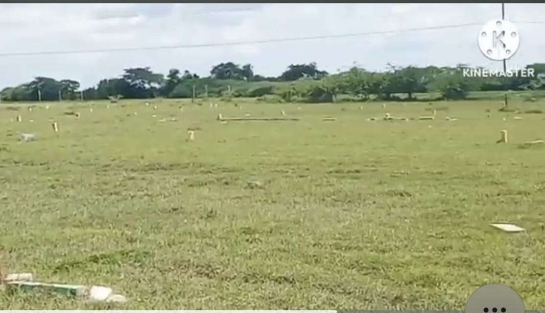 Residential plots at Thiruvallur Senjipanampakkam - Image 5