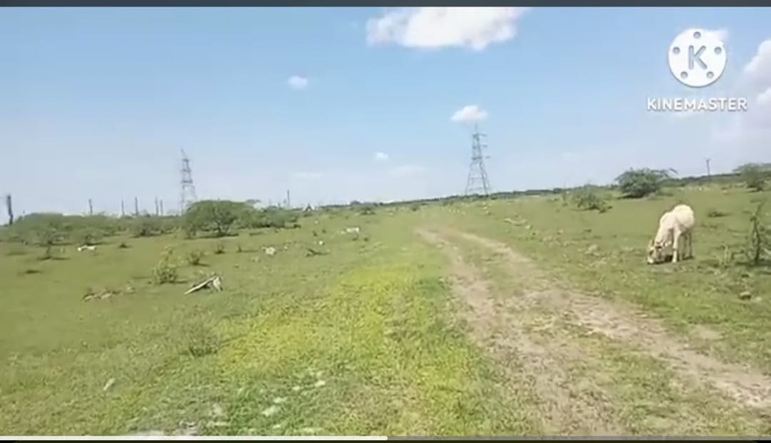 Residential plots at Thiruvallur Senjipanampakkam - Image 4