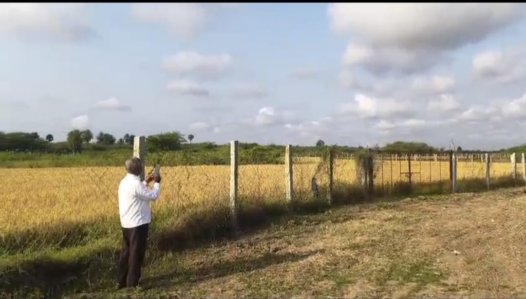 Agriculture land in Thiruvallur and Arakkonam - Image 3