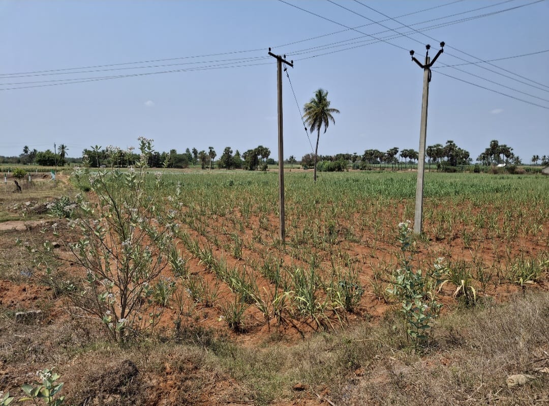 LAYOUT PROPERTY NEAR KALLAKURUCHI - Image 2