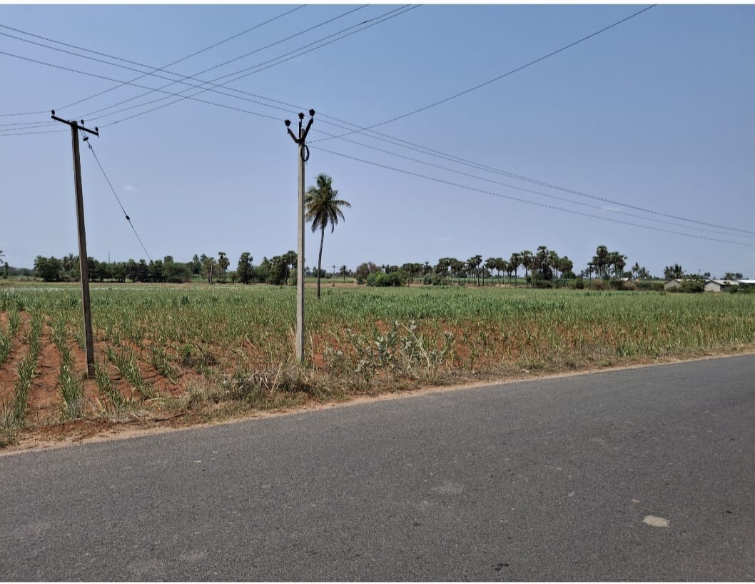 LAYOUT PROPERTY NEAR KALLAKURUCHI - Image 5
