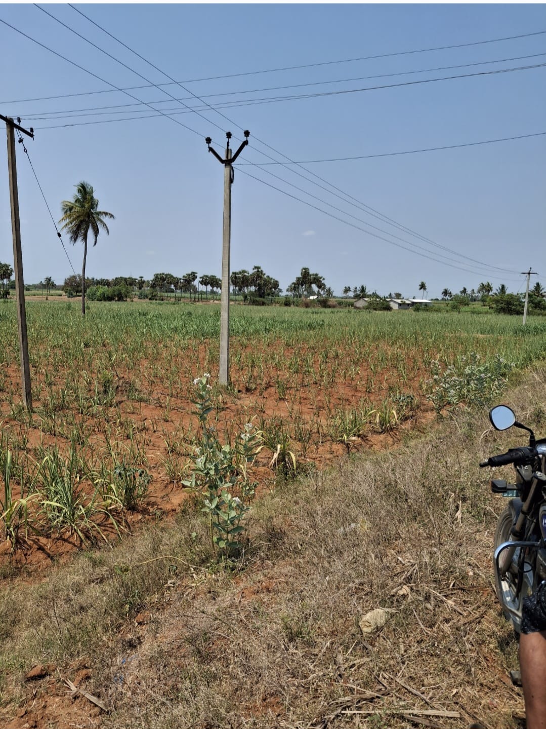 LAYOUT PROPERTY NEAR KALLAKURUCHI - Image 7