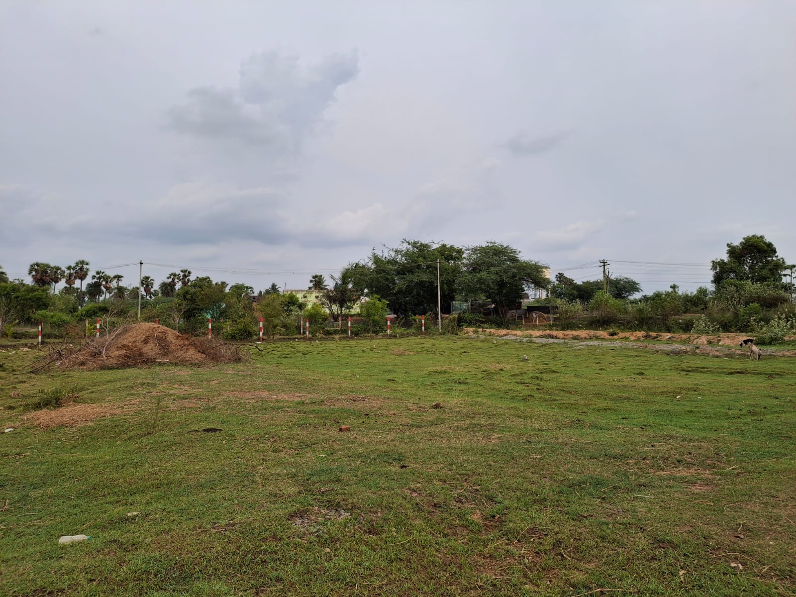 RESIDENTIAL PLOTS NEAR ORAGADAM AND WALAJABATH - Image 3