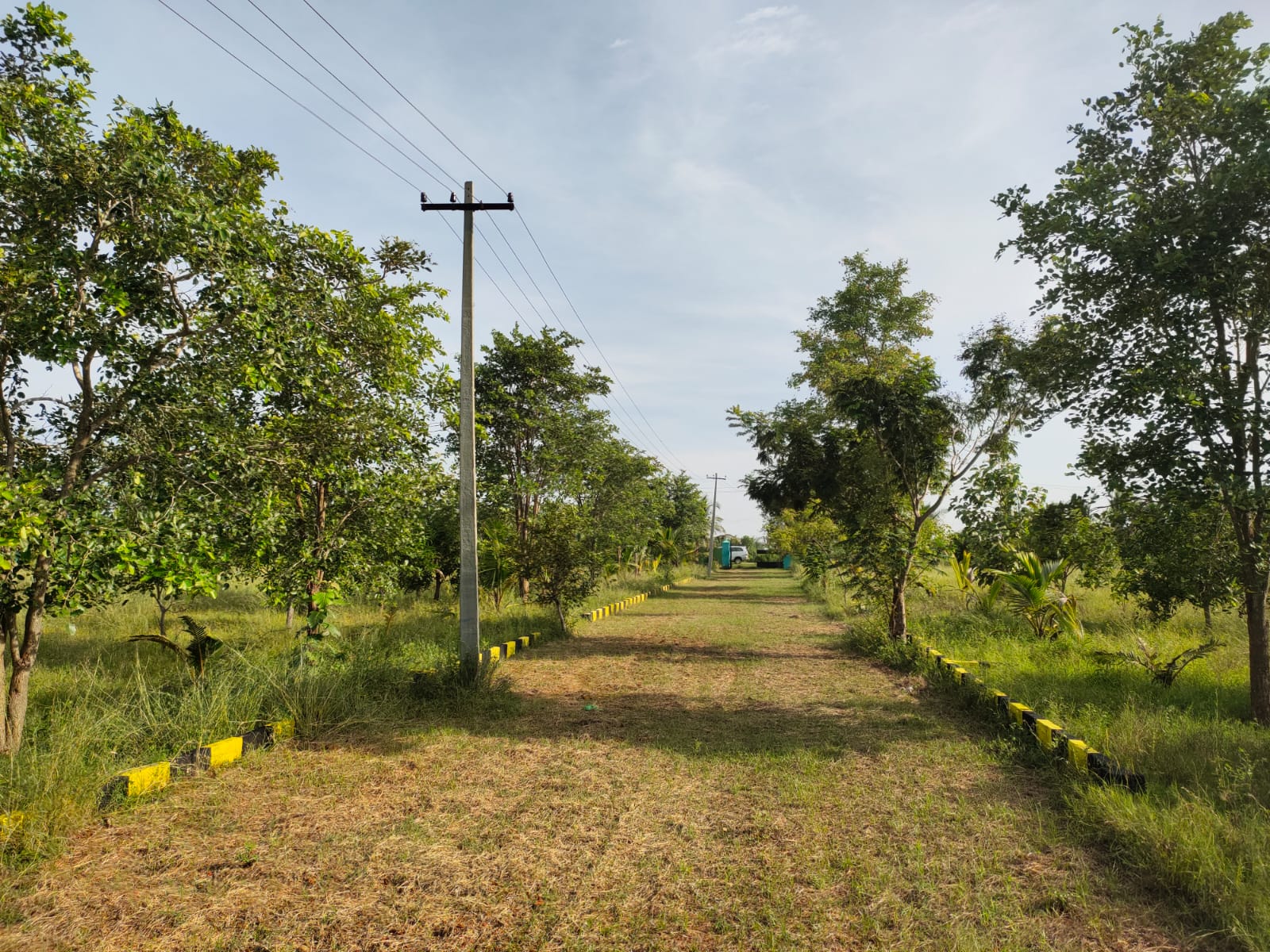 FARMLAND IN TIRUTTANI - Image 7