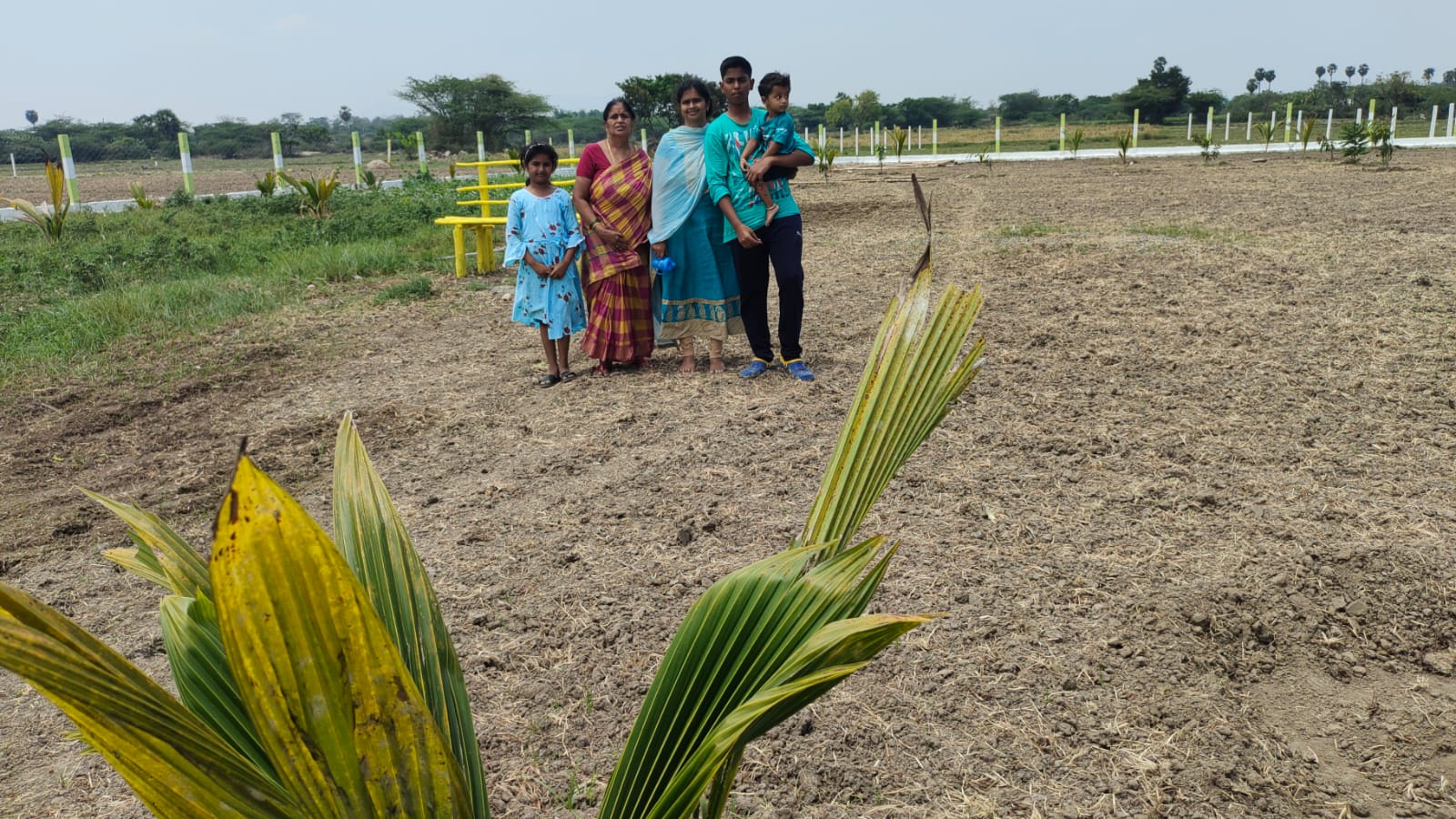 FARMLAND IN TIRUTTANI - Image 8