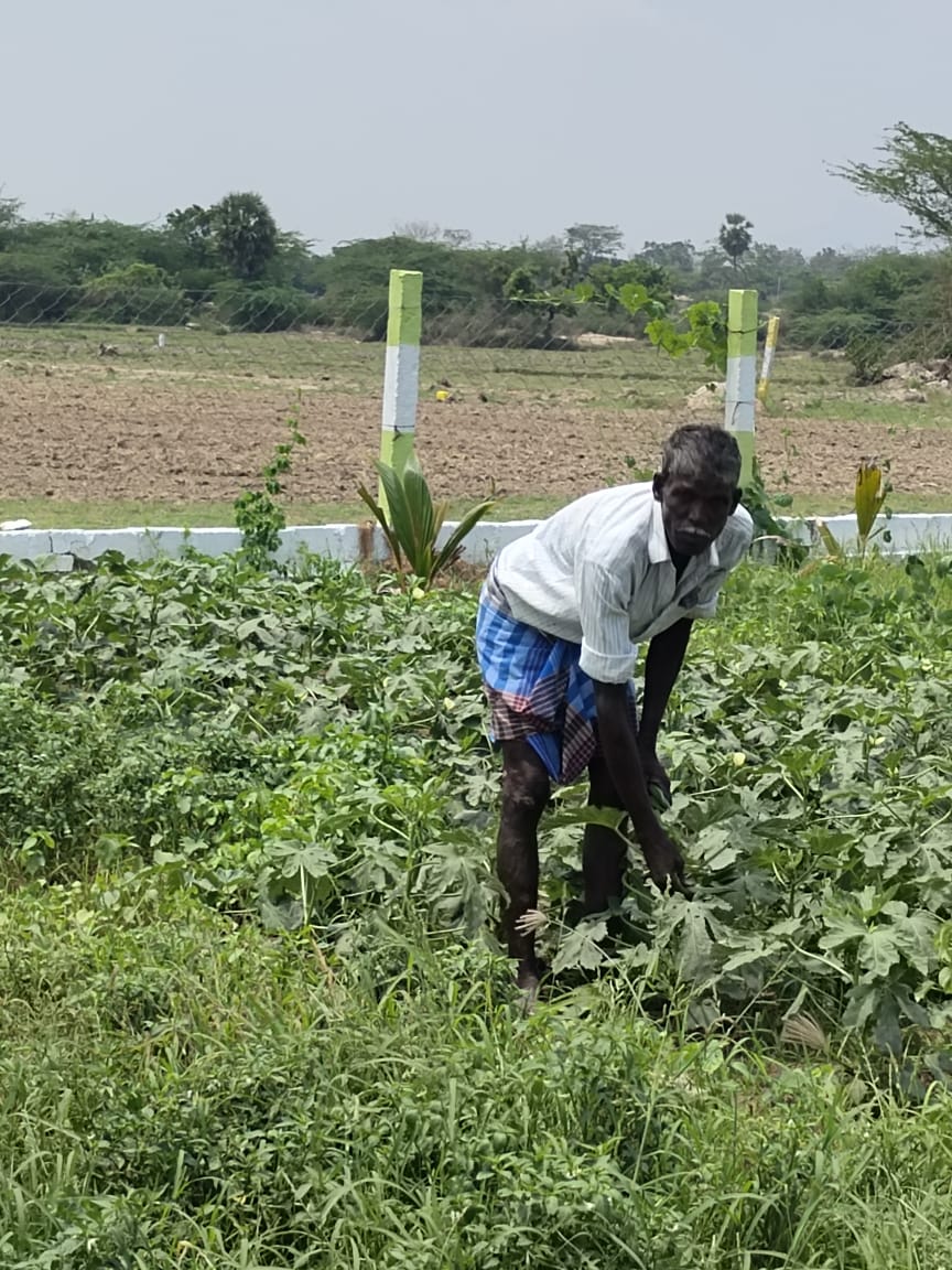 FARMLAND IN TIRUTTANI - Image 2