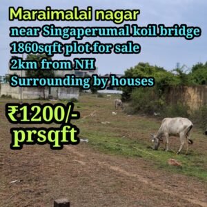 Residential plots in Maraimalai nagar